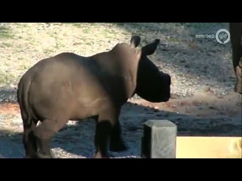 GLD Nieuws 18 augustus 2014