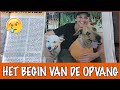 Hoe is Tamara de opvang begonnen? | DierenpraatTV