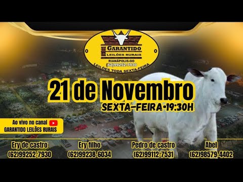 GARANTIDO LEILÕES RURAIS - RIANÁPOLIS-GO