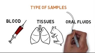 MONITORING PRRS