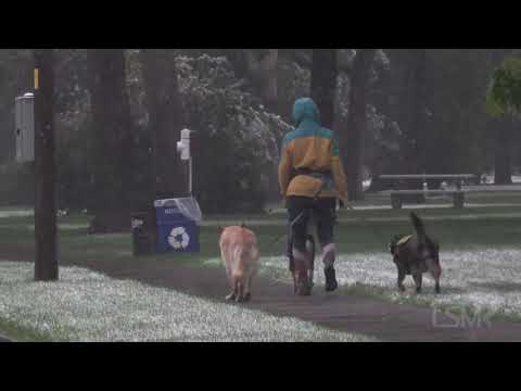 09-08-2020 Fort Collins, CO - Numerous Crashes due to Heavy Snow