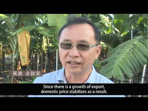 COA makes all efforts to export fruits, to subsidize farmers' production and marketing equipment