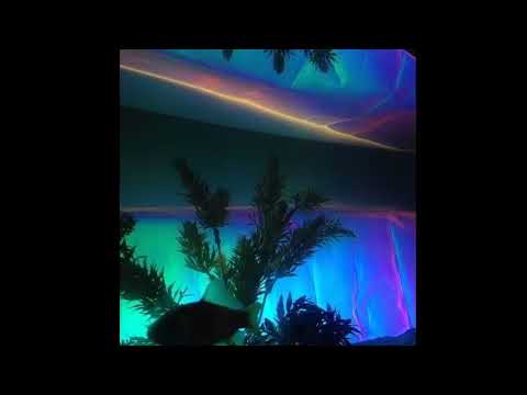 FREE | Trippie Redd x Don Toliver Type Beat - "Blessed" | Prod. Dremer Beatz