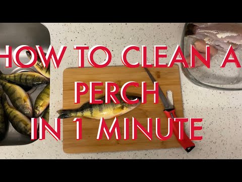 HOW TO CLEAN A PERCH IN 1 MINUTE