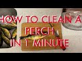HOW TO CLEAN A PERCH IN 1 MINUTE