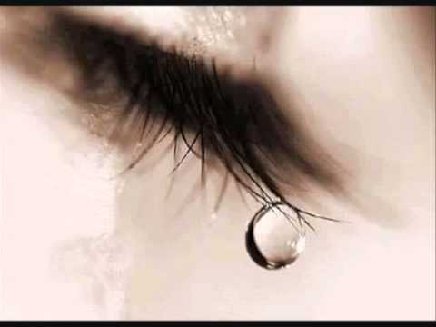 Faxo - Sevgilim by Ilkin