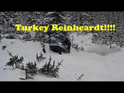 Bung Bung 2022 // Turkey Reinheardt Sighting!!!