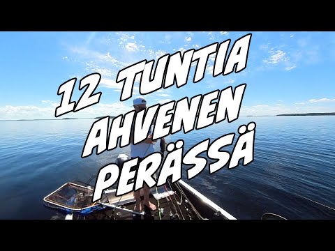 12 tuntia ahvenen perässä