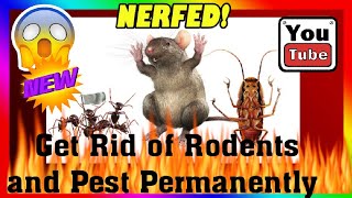 HOW TO GET RID OF ROACHES AND MICE FOREVER