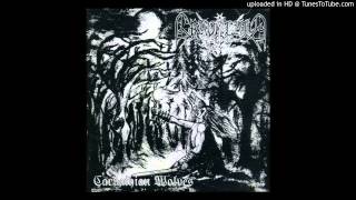 Graveland - Unpunished Herd - Into The War (Outro)