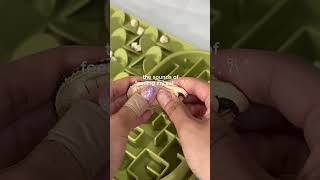 Cat food asmr sounds #catasmr #asmr #asmrsounds