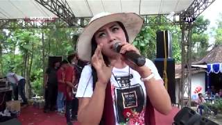 Download lagu Pahitnya cinta,Acha kumala New pantura live Kemusu boyolali 99% warna mp3