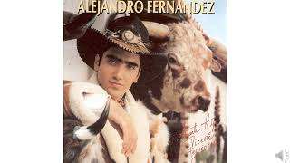Alejandro Fernández   Otra Vida