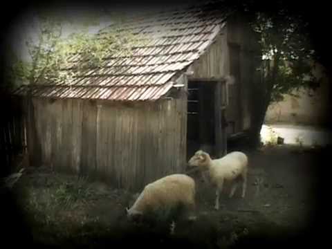 Dudescu, casa Stan si Draguta Robitu