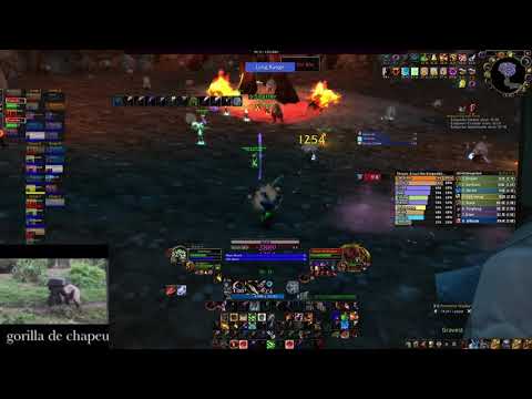 (Almost) Perfect Gruul - Enthozz - 2558.9 DPS - Rank 2 World BM Hunter