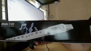【amazon商品レビュー】中国製のウインドシンセサイザー買ってみた【MIDI EWI】