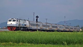 Download lagu JEDAG JEDUG ||| PERBEDAAN ARGO WILIS OLD : ARGO WILIS NEW TRAINSET 🗿👍🏻 #keretaapiindonesia mp3 Download lagu JEDAG JEDUG ||| PERBEDAAN ARGO WILIS OLD : ARGO WILIS NEW TRAINSET 🗿👍🏻 #keretaapiindonesia mp3