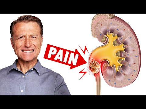 The Top SUPERFOODS for the Kidneys—Explained by Dr Berg