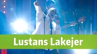 Lustans Lakejer - Läppar tiger, ögon talar - BingoLotto 15/1 2017