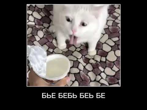 алё бл#@ хахаха мем тикток