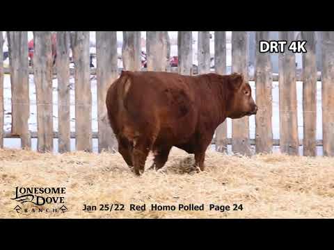 Lonesome Dove Bull Lot DRT 4K sells Friday, March 3, 2023