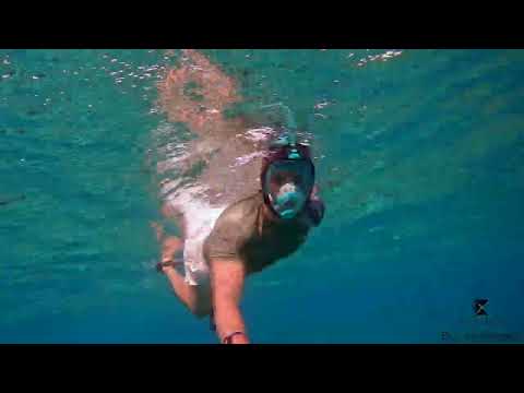 Khroom Schnorchelmaske Seaview Pro - Unsere Beste Maske zum Schnorcheln