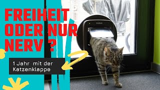 5 wichtige Punkte wenn Eure Katze plötzlich raus darf | Katzenklappe #malehrlich #katze #katzen
