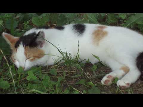 wenn der Topf aber nun ein Loch hat