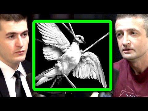 A Case for Anarchism: Governments Should Not Exist | Michael Malice and Lex Fridman