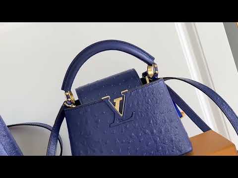 Louis Vuitton Brown Dynamic Chip Premium Leather Handbag M24714