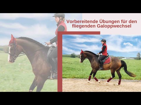 Vorbereitende Übungen für den fliegenden Galoppwechsel