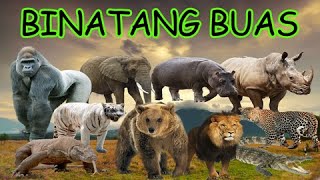 Download lagu NAMA-NAMA BINATANG BUAS | HEWAN BUAS | WILD ANIMALS mp3