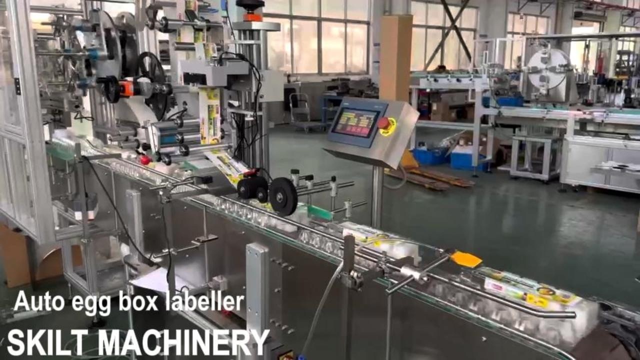 SKIILT automatic plastic egg box tray clamshell top labeling machine with sticker manufacturer