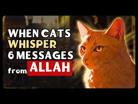 Benefits of  CAT in ISLAM | Umma Islam