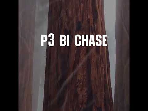 Thywill ft. Kwaku DMC - ON TWEADUAMPONG (Official Lyrics Video) by Protoje Visual