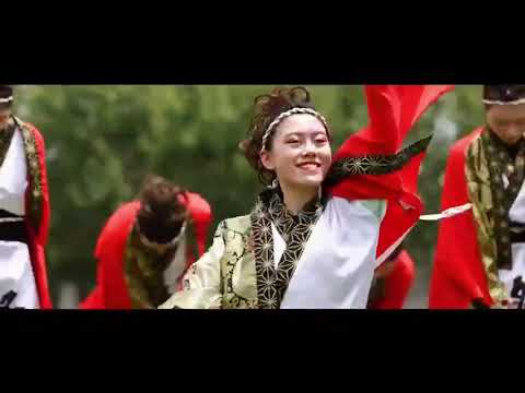 医学科 極津