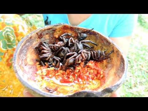 Primitive Technology - Cooking a Black Spider