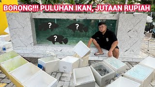 HUNTING BORONG PULUHAN IKAN JUTAAN RUPIAH DAN DI BAGIKAN KE SAHABAT @JAMMVLOG