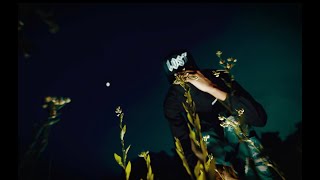 Cover art for Sanctuary