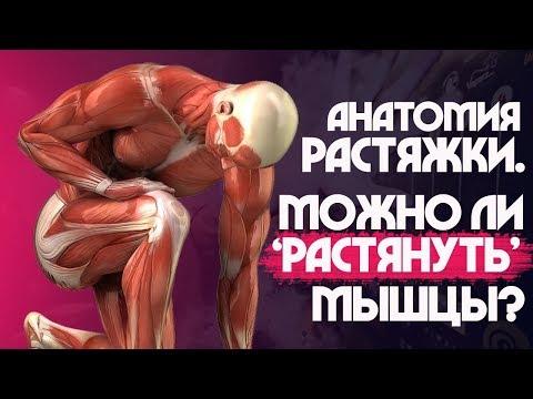 Лечение артроза коленного сустава лечебная физкультура Нарост на коленных суставов