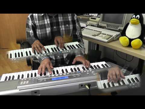 Phoenix Wright: Ace Attorney: Trials and Tribulations - Questioning ~ Allegro 2004 - Keyboard Cover