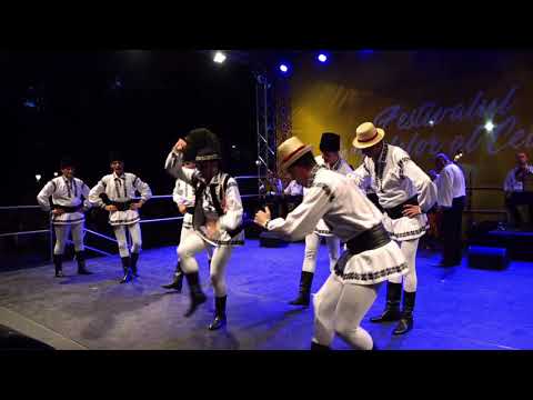 ANSAMBLUL ARTISTIC PROFESIONIST "MUREȘUL" TÂRGU MUREȘ - JOC FECIORESC