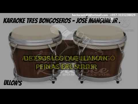 TRES BONGOCEROS  JOSE M JR  KARAOKE DEMO  2024P ISTA CON 2DA VOZ ORIGINAL FUL