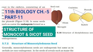Class 11 Biology|Ch.-5 |Part-11||Structure of Monocot & Dicot seed||Study with Farru