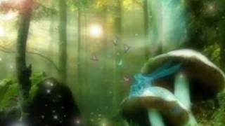 Chet Atkins & Hank Snow ~ Brahm's Lullaby