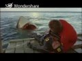 The Last Shark- Shark Death 