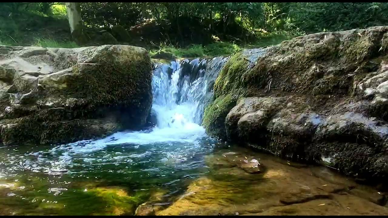 Small Forest Waterfall Ambience (10 Minutes) | Relaxing Nature Sounds & White Noise for Sleep