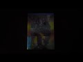 Opening To Willy Wonka And The Chocolate Factory 2001 DVD Full Screen