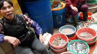preview picture of video 'Zhuhai fish Market 2019'