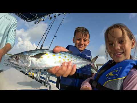 Watch the video on YouTube